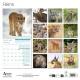 CALENDRIER FELINS 2027