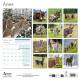 CALENDRIER ANES 2027