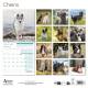 CALENDRIER CHIENS 2027