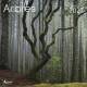 CALENDRIER ARBRES REMARQUABLES 2027