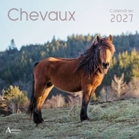 CALENDRIER CHEVAUX 2027