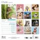 CALENDRIER CHATS RIGOLOS 2027