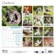 CALENDRIER CHATONS 2027