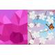 NATURE EXTRAORDINAIRE - STICKERS MOSAIQUE