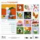 CALENDRIER SOUS LES TROPIQUES 2027