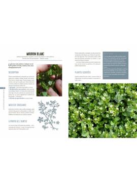 LES PLANTES BIO-INDICATRICES OPTIMISER VOTRE TERRAIN
