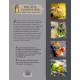BOCAUX CONFITURES COMPOTES LIQUEURS