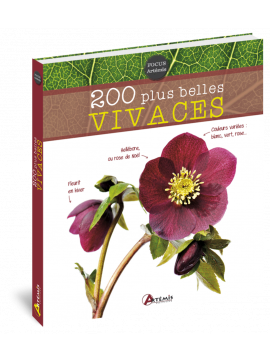 200 PLUS BELLES VIVACES