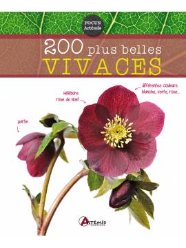 200 PLUS BELLES VIVACES