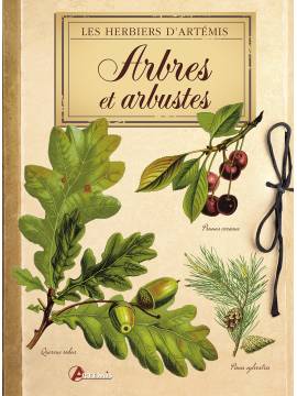 ARBRES ET ARBUSTES