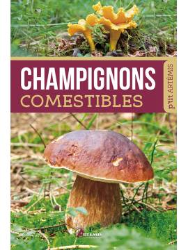 CHAMPIGNONS COMESTIBLES