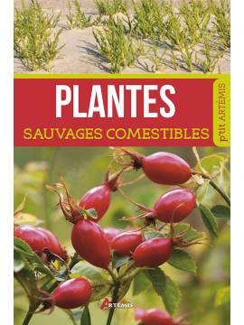 PLANTES SAUVAGES COMESTIBLES