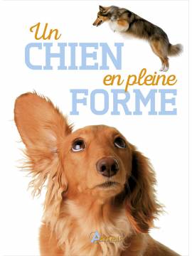 UN CHIEN EN PLEINE FORME