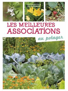 LES MEILLEURES ASSOCIATIONS AU POTAGER