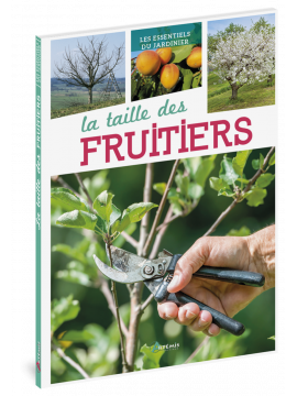 LA TAILLE DES FRUITIERS