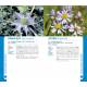 FLEURS DE NORMANDIE ET PICARDIE