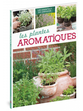 LES PLANTES AROMATIQUES