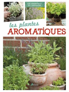 LES PLANTES AROMATIQUES