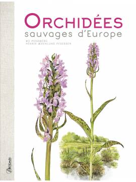 ORCHIDEES SAUVAGES D'EUROPE