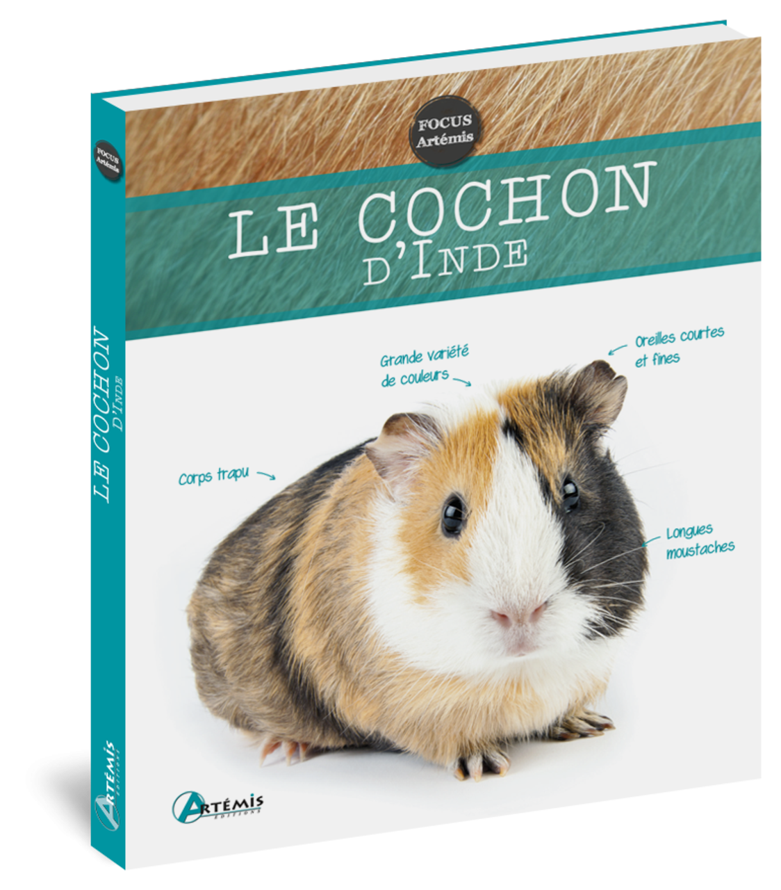 Un Cochon D Inde Pronunciation