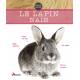 LE LAPIN NAIN