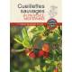 CUEILLETTES SAUVAGES EN PROVENCE MEDITERRANEE