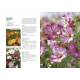 100 PLANTES FACILES POUR LE JARDIN