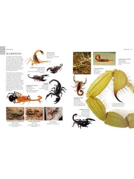 ENCYCLOPÉDIE ILLUSTRÉE DES ARACHNIDES, INSECTES ET AUTRES
