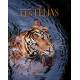 LES FELINS