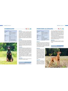 RACES DE CHIENS ENCYCLOPEDIE VISUELLE