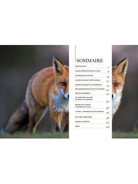 RENARD