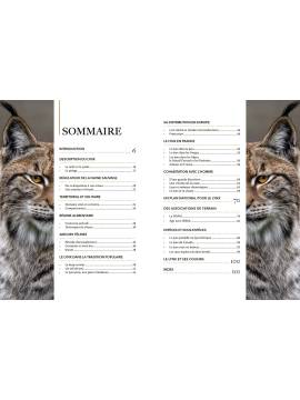 LYNX
