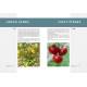 TOMATES - TECHNIQUES DE CULTURE CHOIX VARIETES - CONSEILS - CUISINE