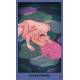 COFFRET KAMASUTRA MAGIQUE - 40 CARTES + 1 MANUEL
