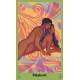 COFFRET KAMASUTRA MAGIQUE - 40 CARTES + 1 MANUEL