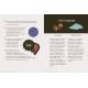 COFFRET LA DIVINATION PAR LES CHARMS - 24 CHARMS+1 PLANCHE DE DIVINATION+1 ETUI VELOURS+1 GUIDE