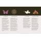 COFFRET LA DIVINATION PAR LES CHARMS - 24 CHARMS+1 PLANCHE DE DIVINATION+1 ETUI VELOURS+1 GUIDE
