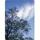 COFFRET BAINS DE FORET 50 CARTES + 1 LIVRET DE 64 PAGES