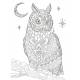 FORET ENCHANTEE