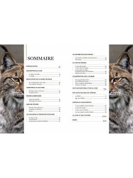 LYNX