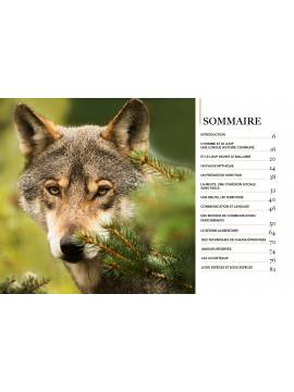 LE LOUP