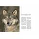LE LOUP