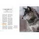 LE LOUP