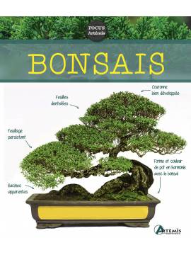 BONSAIS