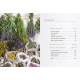 SECRETS DES PLANTES POUR SE SOIGNER NATURELLEMENT
