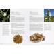 SECRETS DES PLANTES POUR SE SOIGNER NATURELLEMENT