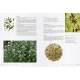SECRETS DES PLANTES POUR SE SOIGNER NATURELLEMENT