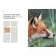 RENARD