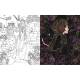 LE JARDIN DES FEES TABLEAUX MAGIQUES A GRATTER
