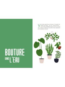 BOUTURES EN SERIE